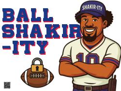 Ball Shakir-ity Lawn Sign